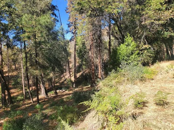 20 N Highway 245, Miramonte, CA 93641