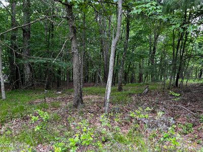 177 Gunstock Ln, Tafton, PA, 18464