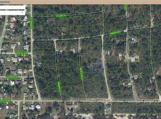 222 Dreamers Dr, Lake Placid, FL 33852