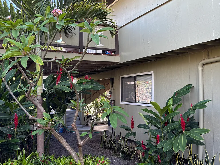 Lehua Rd — Photo 5