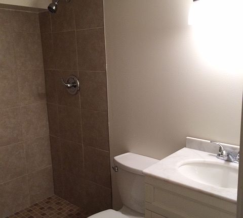New basement bathroom