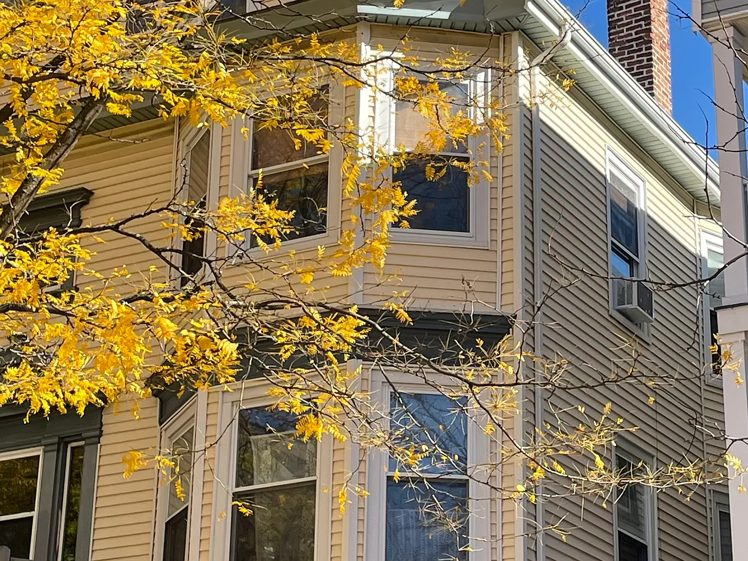 1 bed, 900 sqft, $2,600 — Photo 2