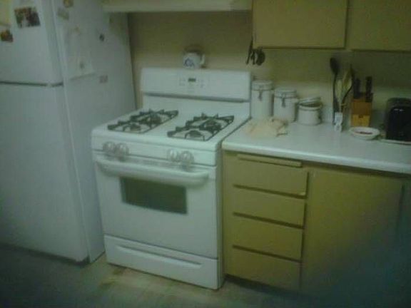 3rd image of 1908 Wildwood Way