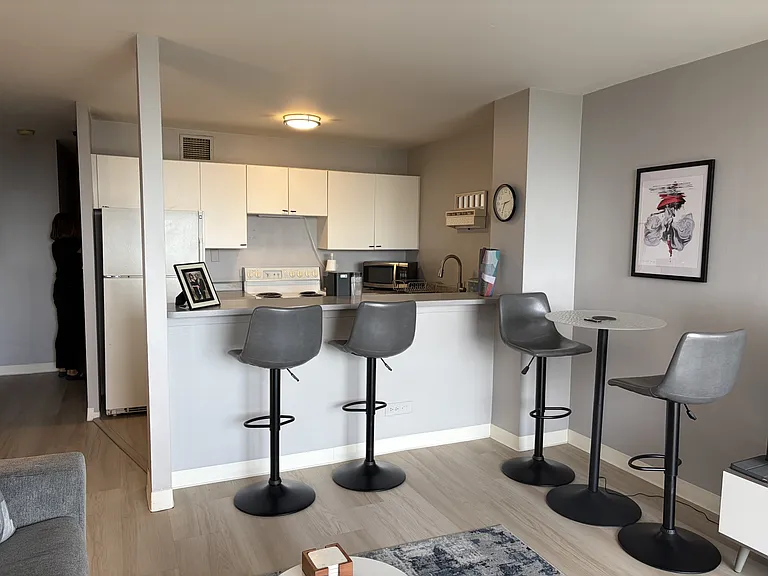 1636 N Wells St #1510 — Photo 7