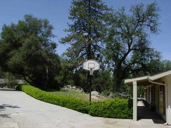 Basketball Hoop in drive-way
