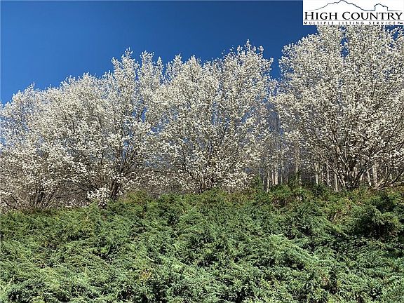 4th image of 3760 Bald Mountain Rd