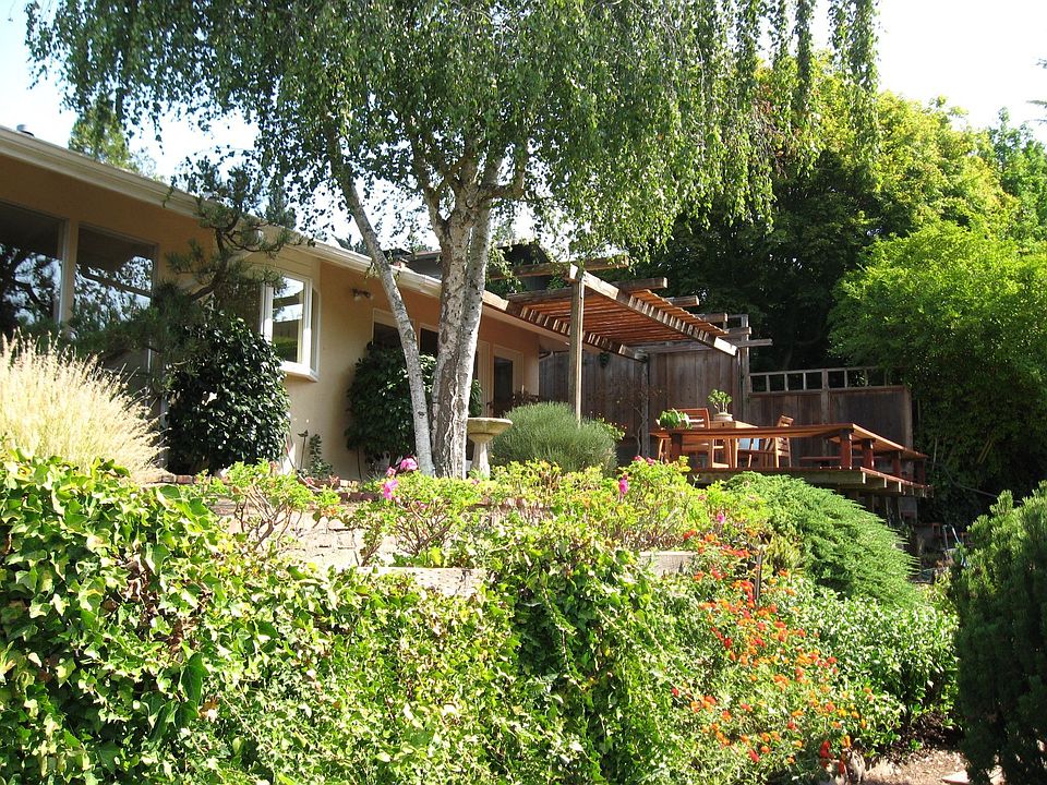 Cascading gardens in the rear