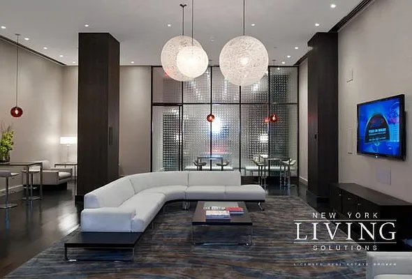 Rented by NY Living Solutions | media 41
