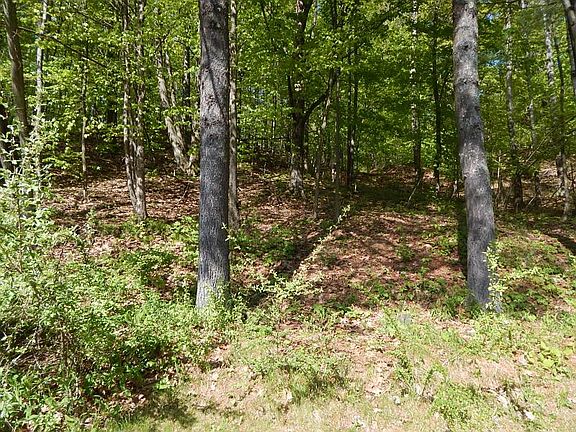 5th image of 2165 Lakeshore Dr