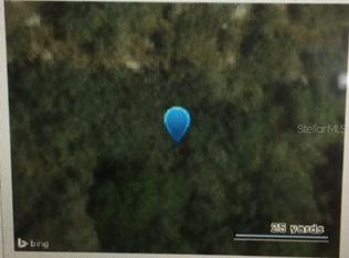 8110 Treiman Blvd, Webster, FL 33597