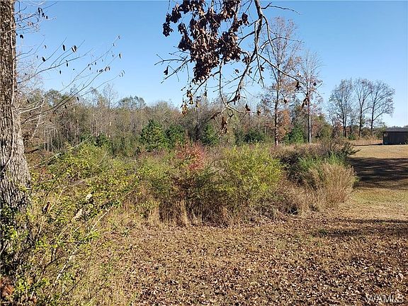 4th image of 16350 County Road 53 N