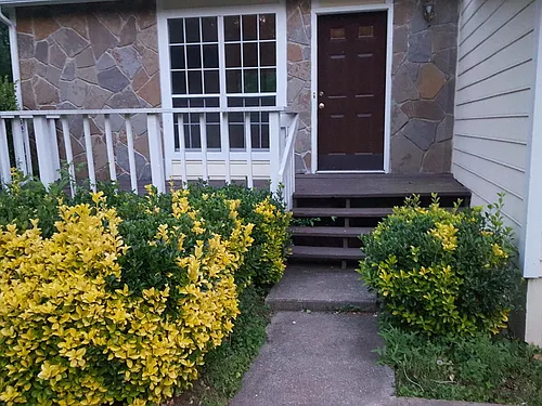 951 Park Creek Cir Photo 1