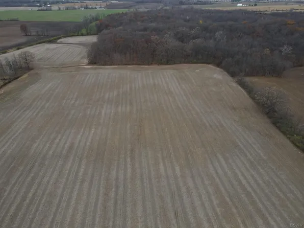 1000 Shepherd Rd, Tecumseh, MI 49286