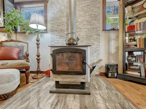 133 Brown Street, Bailey, CO 80421