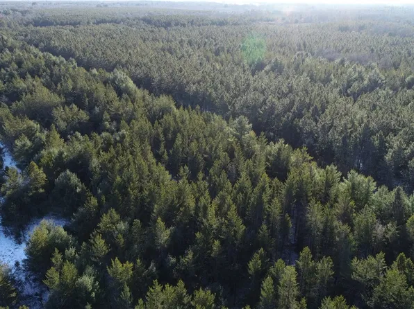 00000 Black Brook Road, Webster, WI 54893