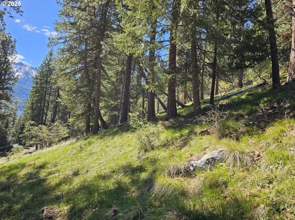 Lake Shore Rd, Joseph, OR 97846