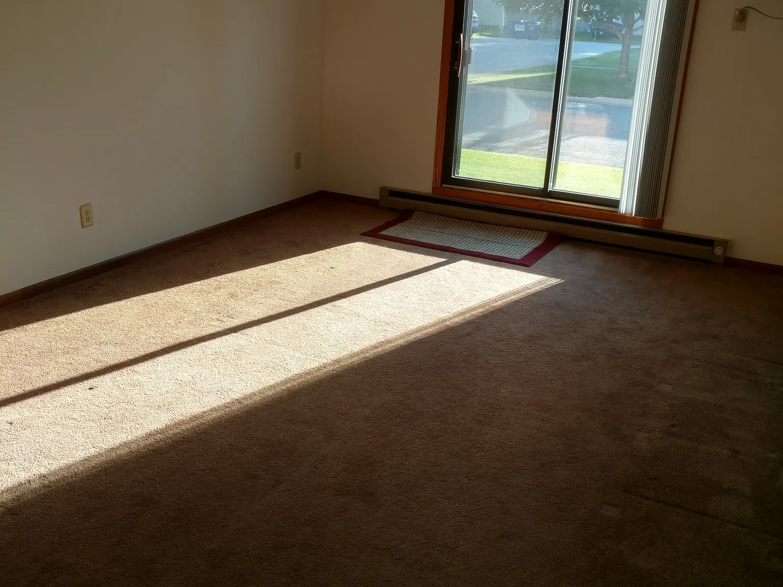 1 bed, 550 sqft, $800 — Photo 2