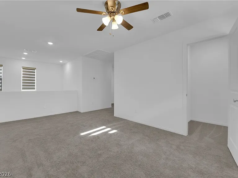 4171 Scarlet Cob Ave — Photo 13