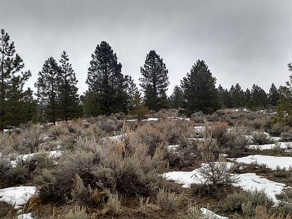 3rd image of TRACT 12 Seven Granite Creek Road Acres #19.88