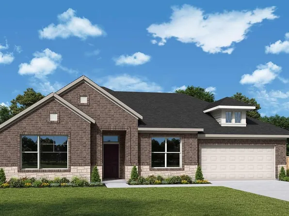 Chicory Plan, Sunfield