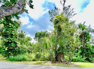 435 Caloosa Dr, Labelle, FL 33935