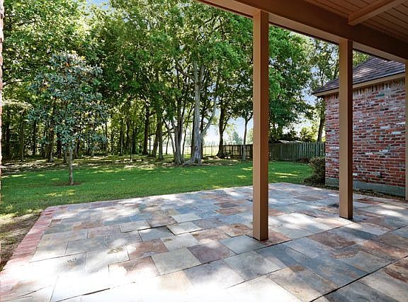 Wooded Backyard