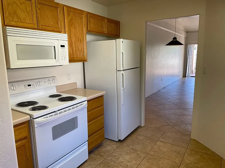 811 Dusty Rose Dr — Photo 10