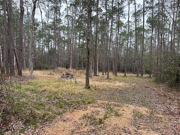 3rd image of 31315 Cowart Bush Rd