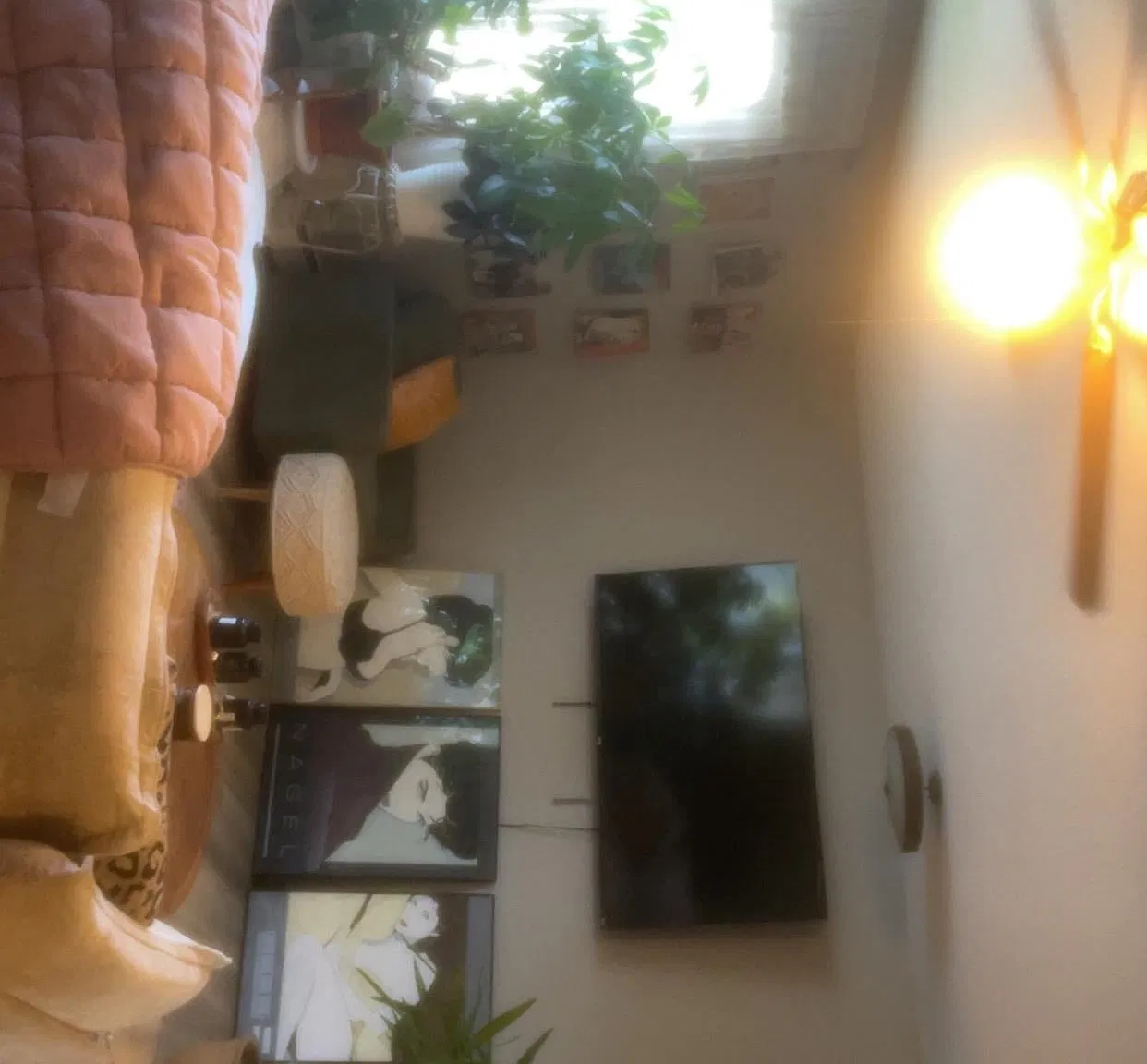 2 bed, $950 — Photo 3