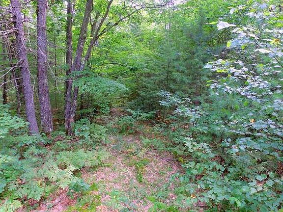 2nd image of E Boundary Trl Parcel 15