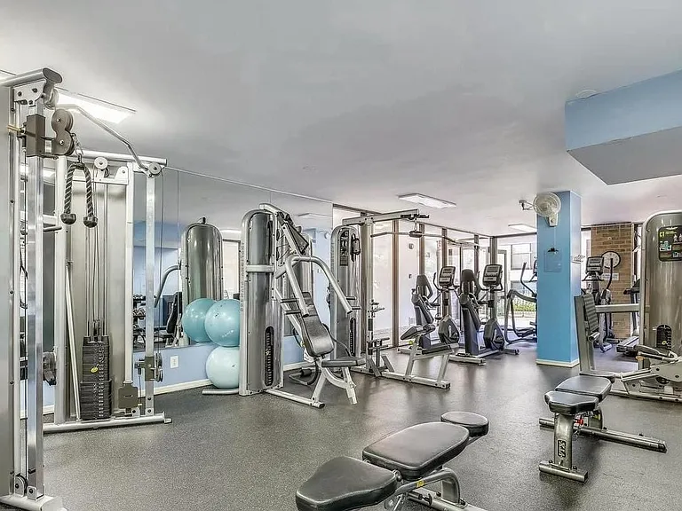 Equipment and Free Weights.