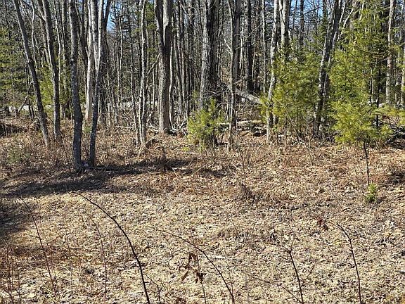4th image of 1439 River Road