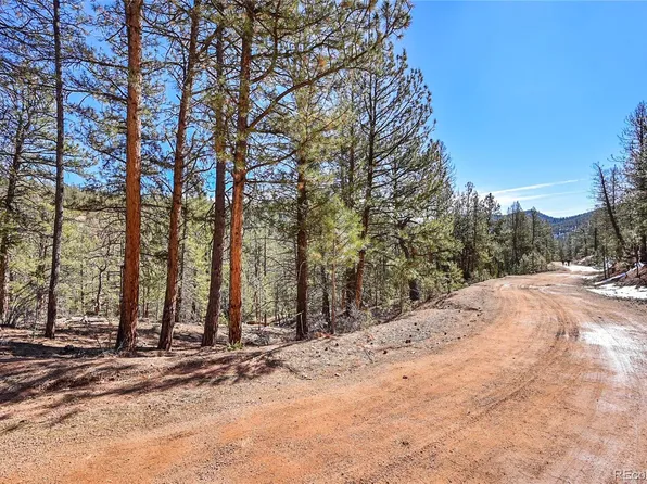 16588 Ouray Road, Pine, CO 80470