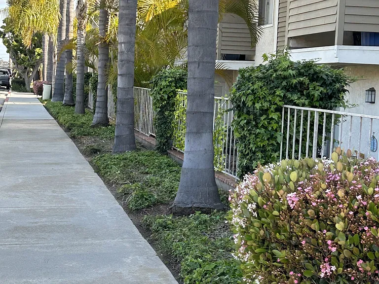 Carlsbad Sunset Senior Apts — Photo 19