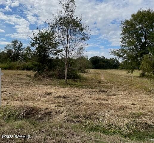 2nd image of Romero Rd