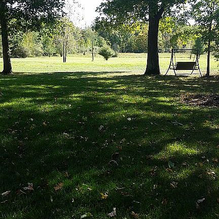 Front yard pasture view 