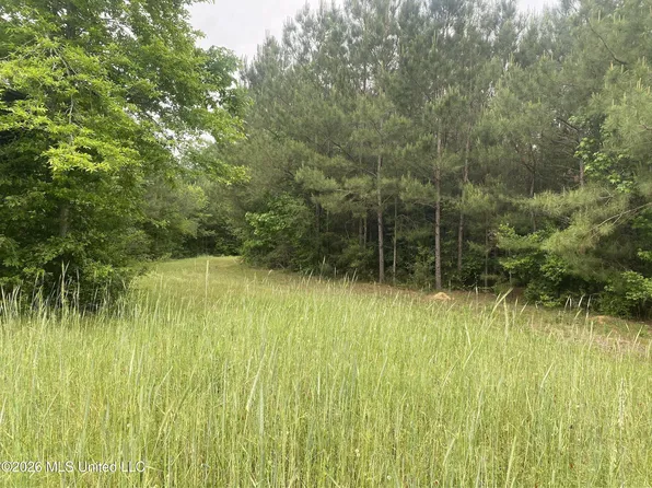 Grady Ln, Magnolia, MS 39652