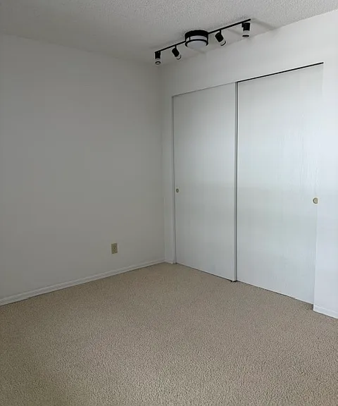 Guest Bedroom with the closet