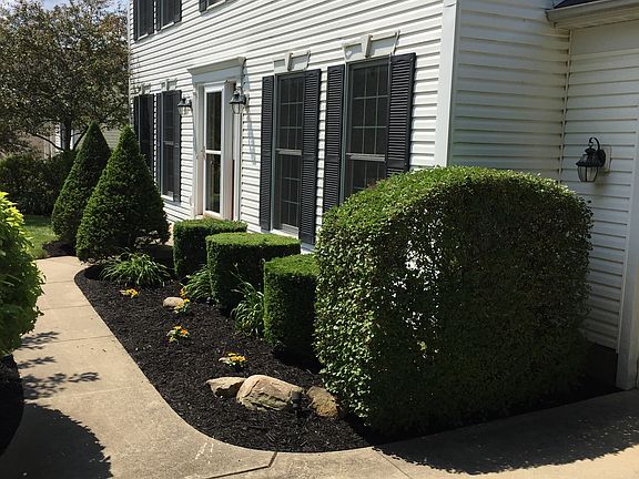 2nd image of 150 Pine Needle Dr