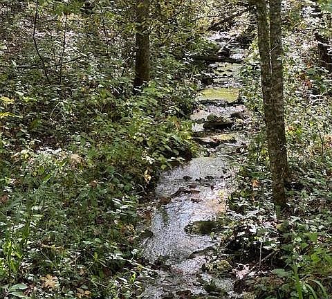 4th image of H16-H17 Shady Grove Rd