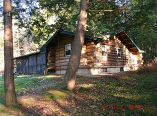 1020 Route 219, Limestone, NY 14753