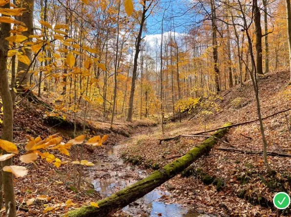 0 Middlefork Rd, Rockbridge, OH 43149