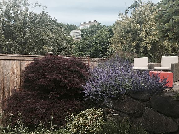 upper backyard view