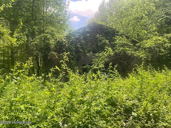2nd image of 449 Doug Thompson Rd