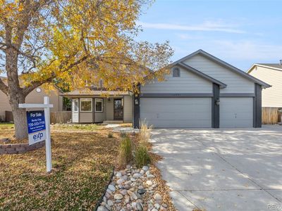 11771 Grape Street, Thornton, CO, 80233