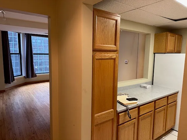 431 S Dearborn St #909 — Photo 8
