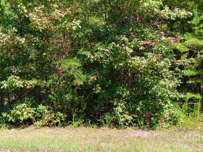 0 1st Corriher St, China Grove, NC, 28023