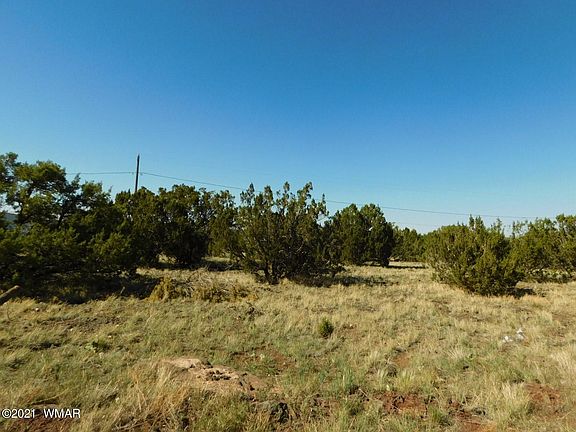 5th image of 8544 Quail Run Dr