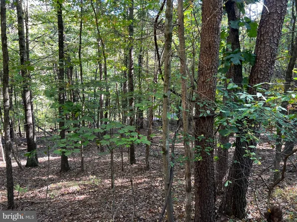 0 Hemlock St, Mount Jackson, VA 22842