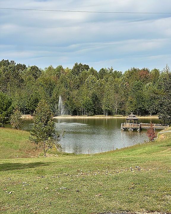 Stocked pond!